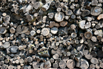 Background of dry chopped firewood