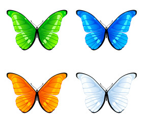 Butterflies