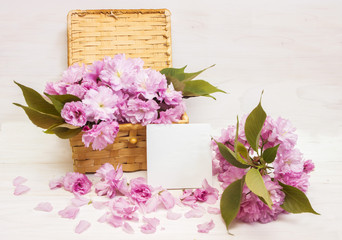 Sakura flowers on Mother's Day card
