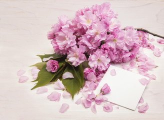 Sakura flowers on Teacher Day card
