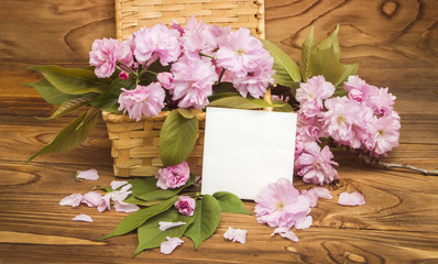 Card with sakura flowers spring
