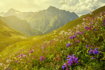 evening mountain scene