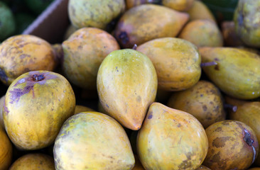 yellow sapote