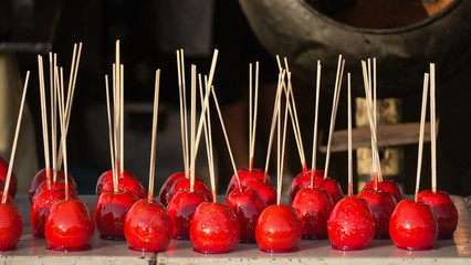Puglia:Sedici:Noni Quattro