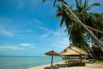 Fototapeta na wymiar beach and coconut tree in Koh Phangan Thailand