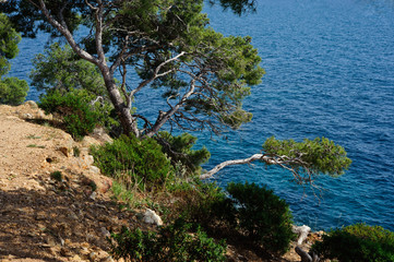Fototapeta na wymiar Côte d' Azur bei Le Lavandou VI