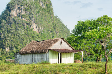 Obraz na płótnie Canvas Rural scene with a rustic house at the Vinales Valley in Cuba