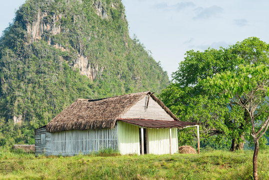 Rural scene with a rustic house at the Vinales Valley in Cuba