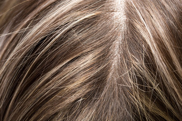 Fototapeta premium women's hair. macro