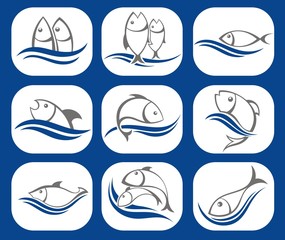 Naklejka premium Signs with fish