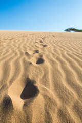 Massive sand dunes in La Guajira, Colombia