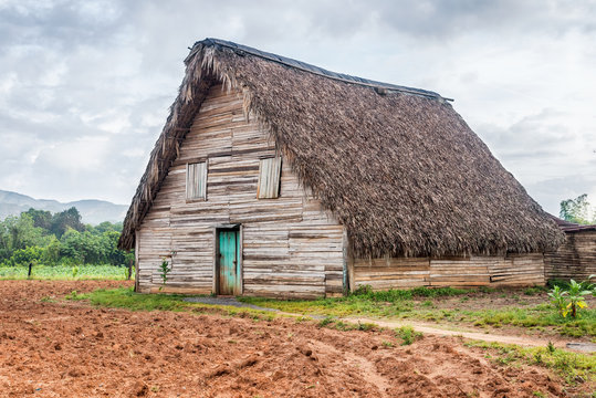 Tobacco Curing Barn In Pinar Del Rio, Cuba