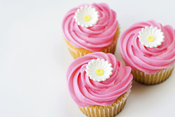 Three pink cupcakes with daisy decoration