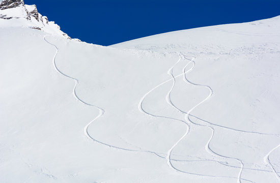 Sci fuoripista - Sci Freeride