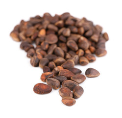Cedar pine nuts isolated on white