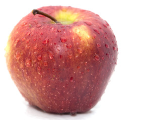 red apple on a white background
