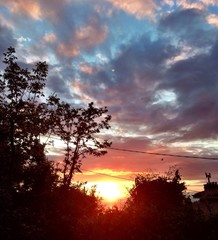 Fototapeta premium nice sunset