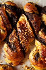 Homemade poppy seed buns