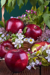 apples in a linen bag with apple flower on wooden table