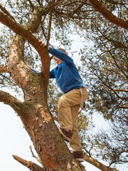 Fototapeta premium young boy climbing in a tree