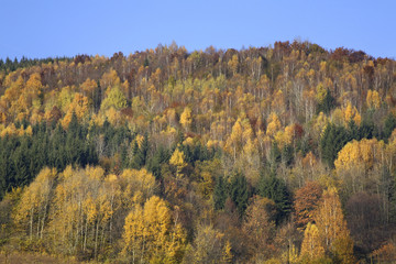 Autumn in Kralovany. Slovakia