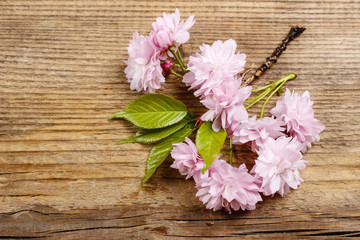 Naklejka na ściany i meble Piękne kwitnienia migdałów (Prunus triloba) na tle drewniane