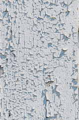 Obraz premium Peeling White Paint