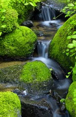 Foto op Plexiglas Mountain stream among the mossy stones © Željko Radojko