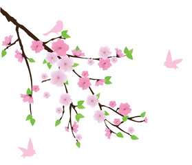Naklejka premium vector cherry blossom with birds