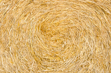 Bale roll straw texture background