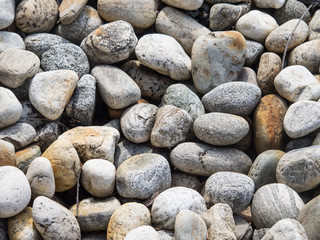 Rocks or pebbles