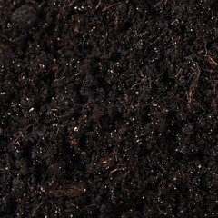 Black ground close up