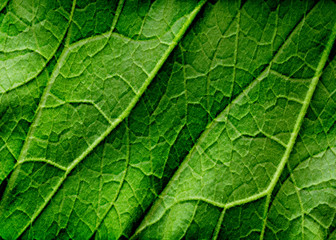 abstract wall for background