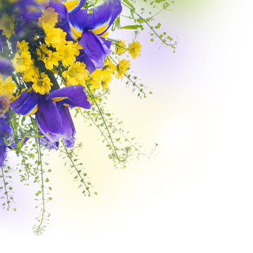 Blue irises with yellow daisies, floral background.