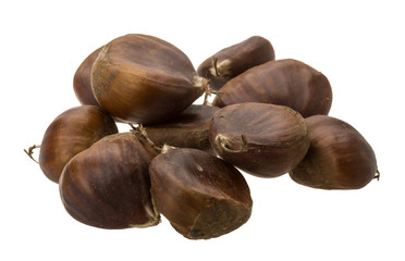 Chestnut