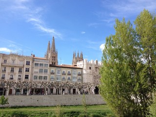 Paseo junto al río