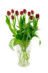 Glass vase with red tulips