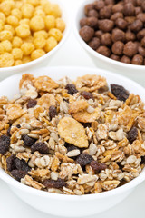 granola with raisins, sunflower seeds, various breakfast cereals
