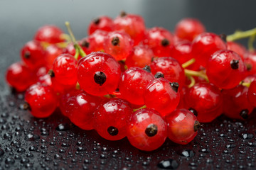 red currant on black background, close-up