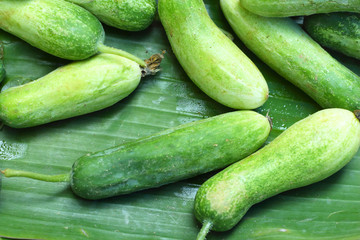 Fresh cucumber in the market