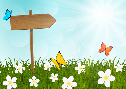 Wooden signpost on green meadow