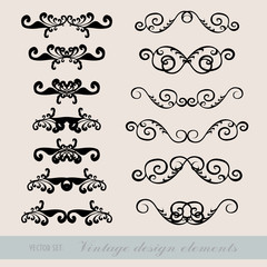 vector set: calligraphic design elements and page decoration