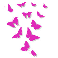 butterflies design