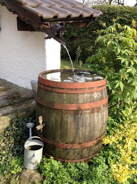 Regenwasser l&auml;uft vom Hausdach in ein altes Weinfass das als Regentonne genutzt wird