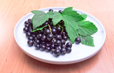 black currant, ripe berries and green leaves