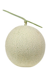 cantaloupe melon