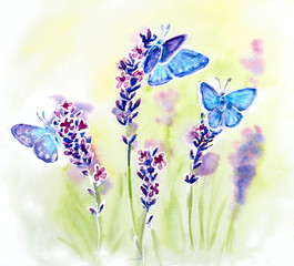 Fototapeta premium Painted watercolor with summer lavender flowers and butterflies