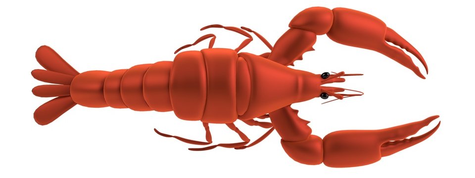 realistic 3d render of lobster