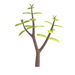 realistic 3d render of succulent