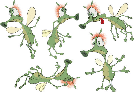 Set of green Insects cartoons